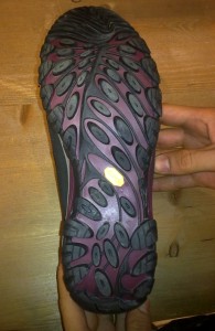 Chameleon Arc 2 Rival