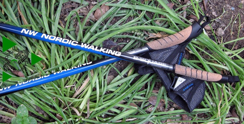 Bastoncini Nordic Walking