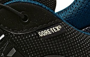 Adidas Terrex Fast GTX LOW (15)