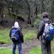 La morte del backpacking?