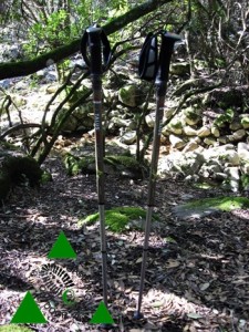 Bastoncini da trekking leggeri