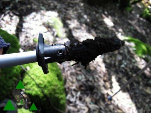 Bastoncini da Trekking MSR Talus TR