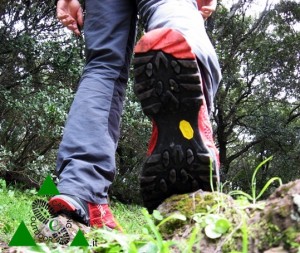 La Sportiva Synthesis Gore-Tex Surround