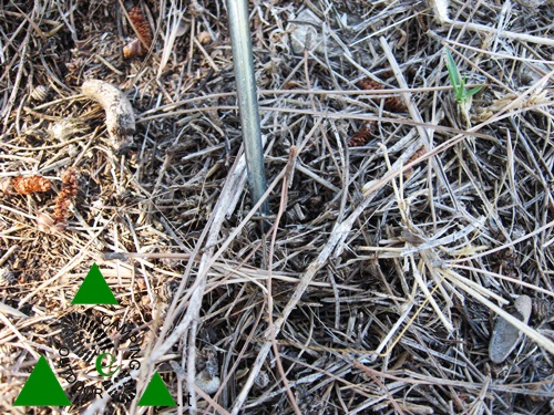 Picchetti e tiranti per tende da campeggio