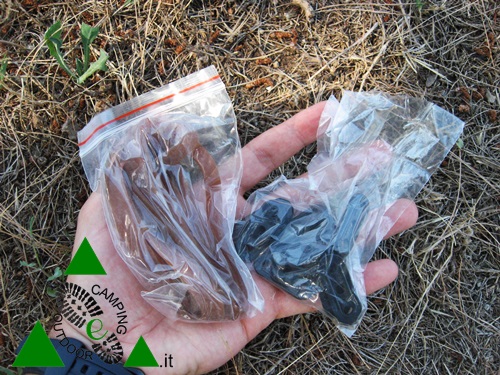 Picchetti Robusti campeggio