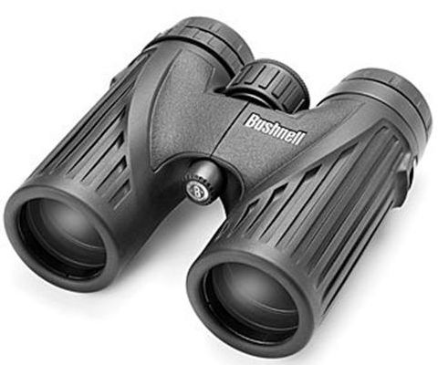 Binocolo trekking bushnell-10x36-legend
