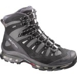 Salomon Quest 4D II GTX ico