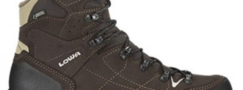 scarpe da trekking Lowa Vantage GTX