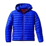 piumino Patagonia Down Sweater Hoody