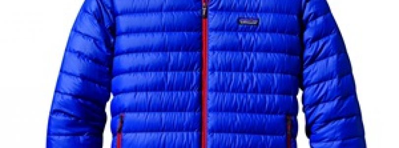 piumino Patagonia Down Sweater Hoody