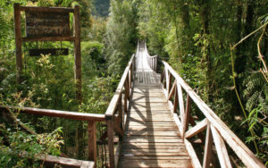 Pumalin National Park