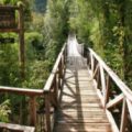 Pumalin National Park