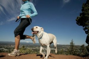 Le 10 regole per correre con il tuo cane