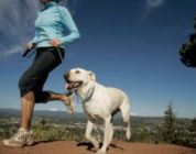 Le 10 regole per correre con il tuo cane